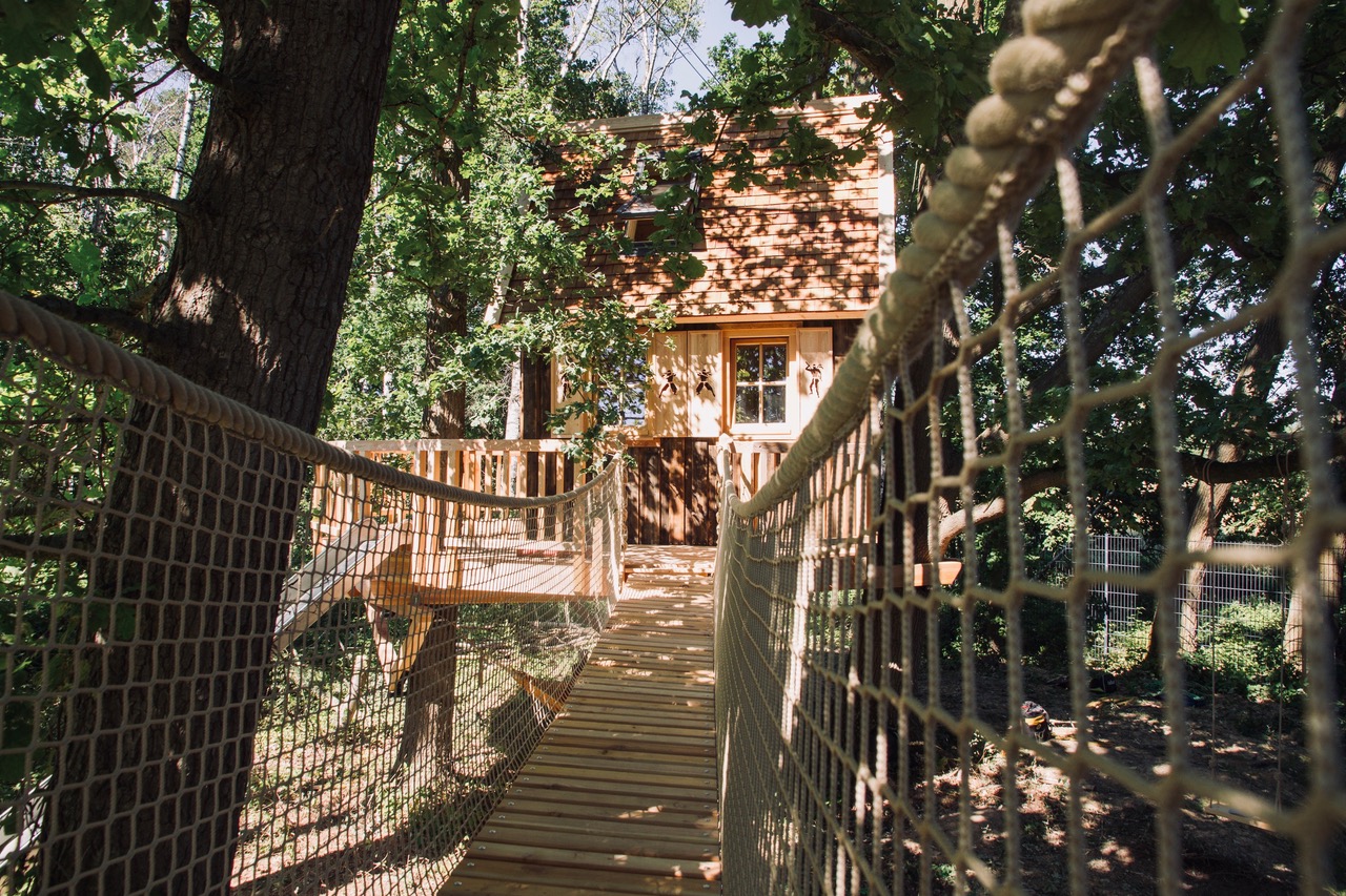 Neuer Bewohner im Auenwald