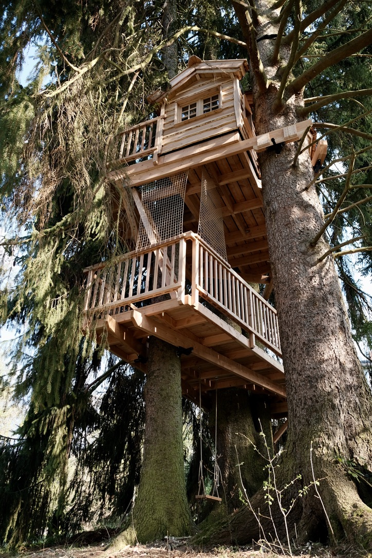 Drei Generationen. Ein Baumhaus.