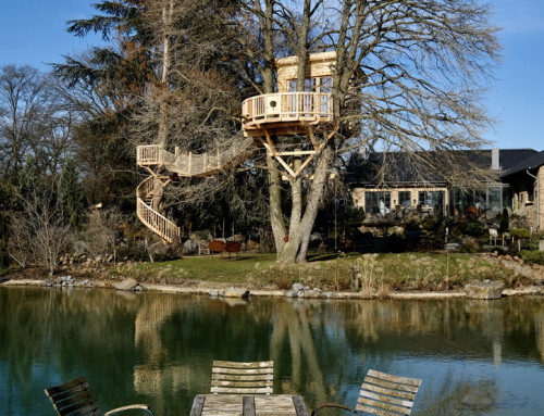 Herald of spring: a treehouse