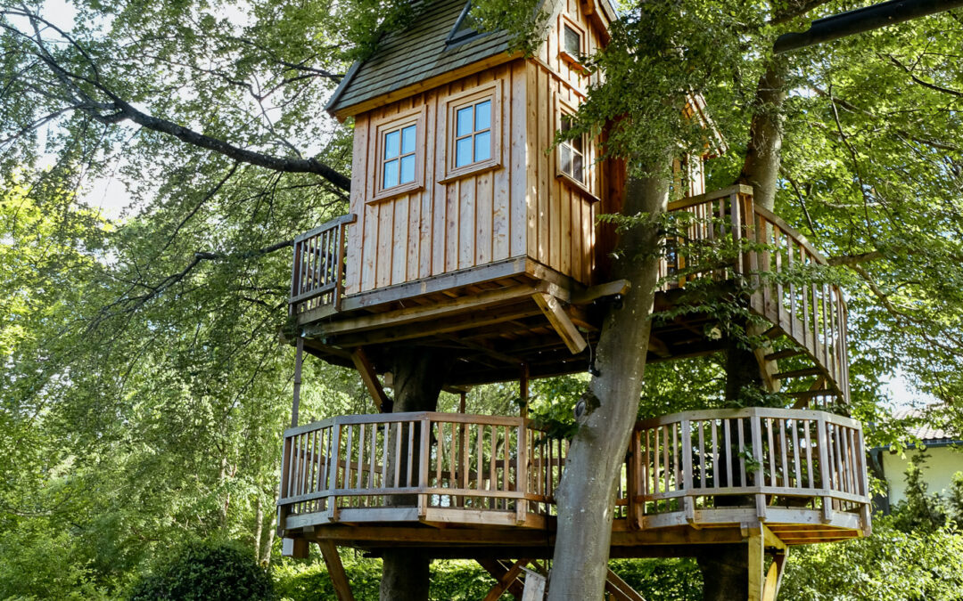 Feiere Wipfelfeste, wie sie fallen