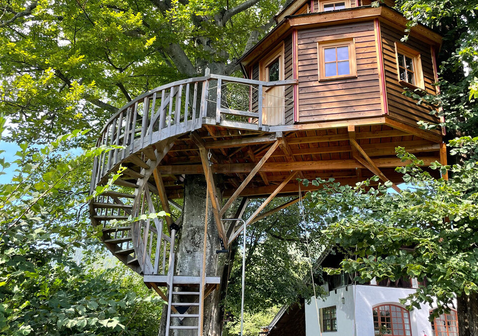 Rückzug zwischen Buche & Linde