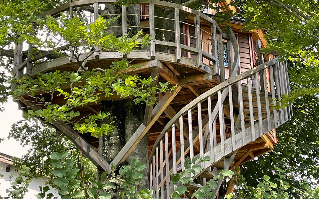 Rückzug zwischen Linde und Buche