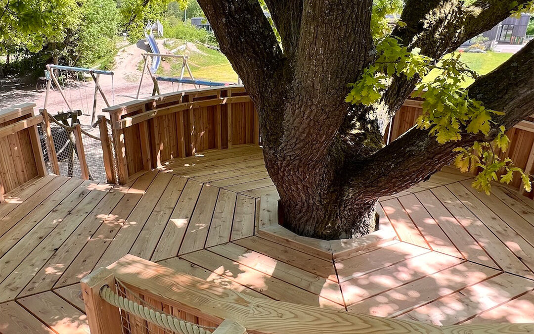 Abenteuer unter der Eiche