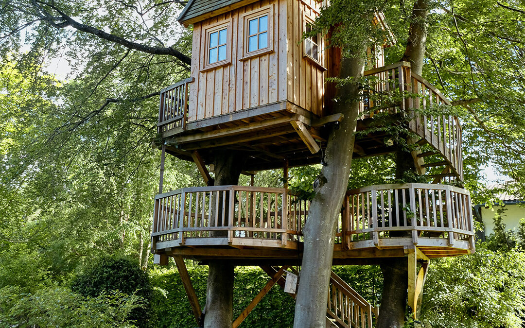 Feiere Wipfelfeste, wie sie fallen